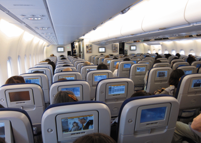 BNN Minta Maskapai Libatkan Pilot dan Awak Kabin dalam Pencegahan Narkoba