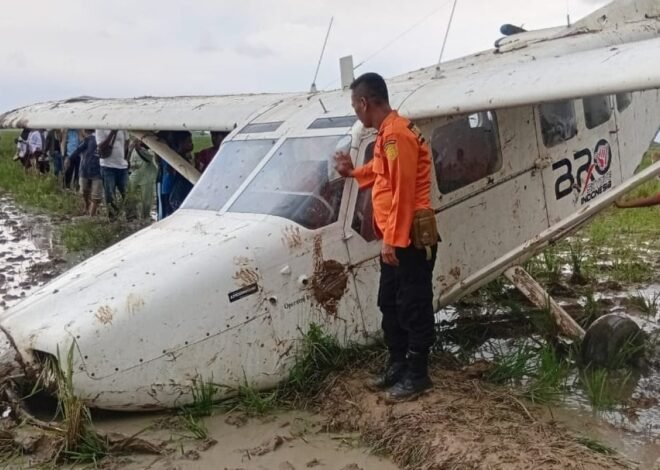 Insiden Pesawat Kecil Jatuh di Sawah Karawang, Tim SAR Tiba di Lokasi