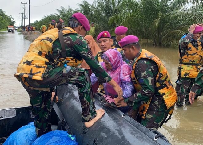 TNI AL Dikerahkan untuk Evakuasi Warga Korban Banjir di Sumatera Utara