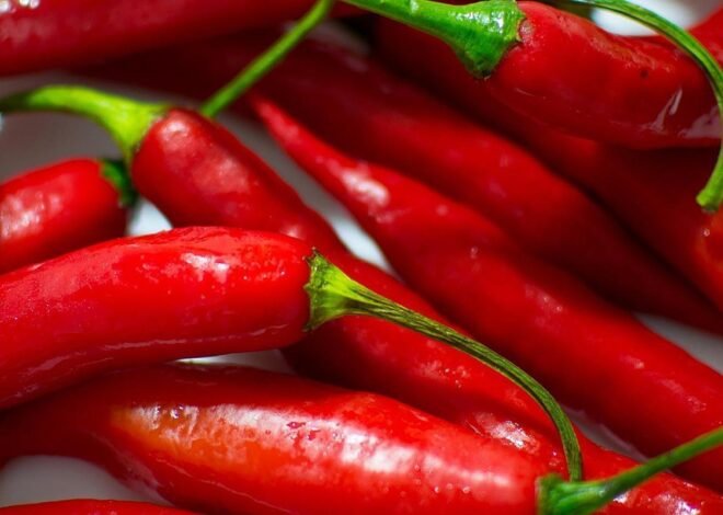 Harga Cabai Merah Alami Penurunan, BPS Catat Tren Terbaru