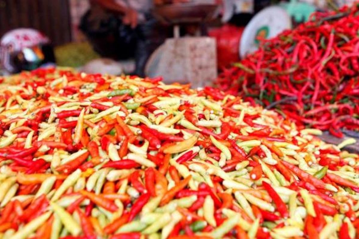 PIHPS Catat Harga Cabai Rawit Tembus Rp80.700 per Kg dan Telur Ayam Rp32.650 per Kg