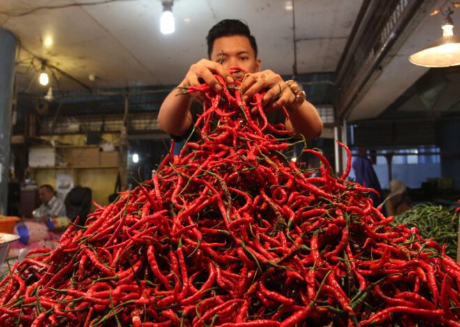 Mendag Sebut Cuaca dan Distribusi Picu Kenaikan Harga Bawang dan Cabai