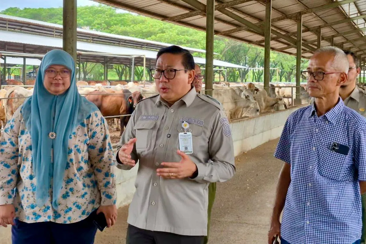 Kementan Pastikan Harga dan Pasokan Daging Sapi Aman Jelang Natal dan Tahun Baru