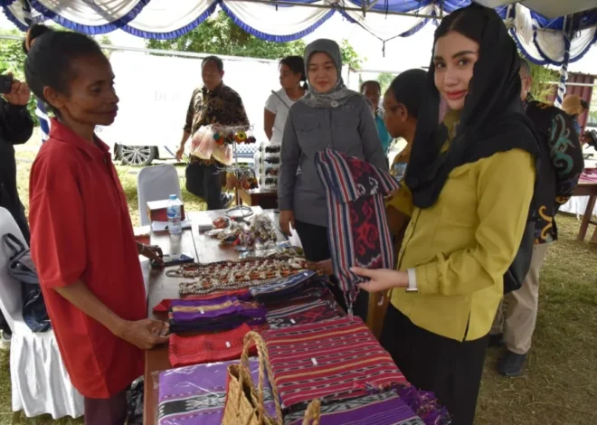 Anggota DPR Dorong Penguatan Ekonomi Kreatif di Papua