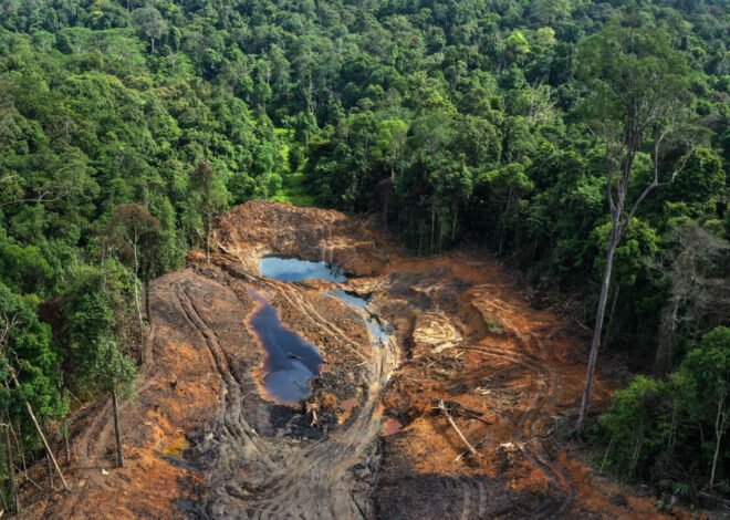 DPR Ajak Masyarakat Beri Masukan untuk Revisi UU Kehutanan