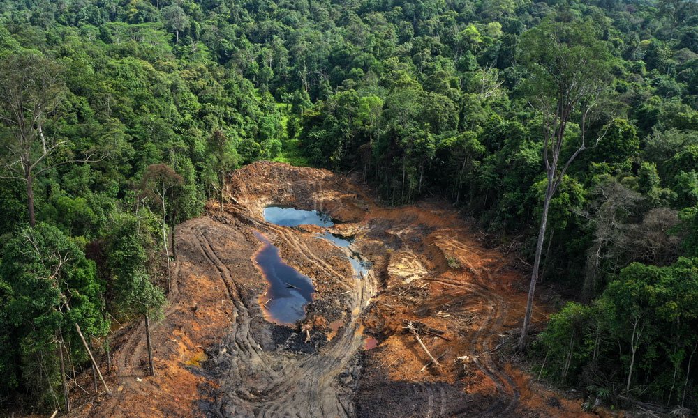 DPR Ajak Masyarakat Beri Masukan untuk Revisi UU Kehutanan