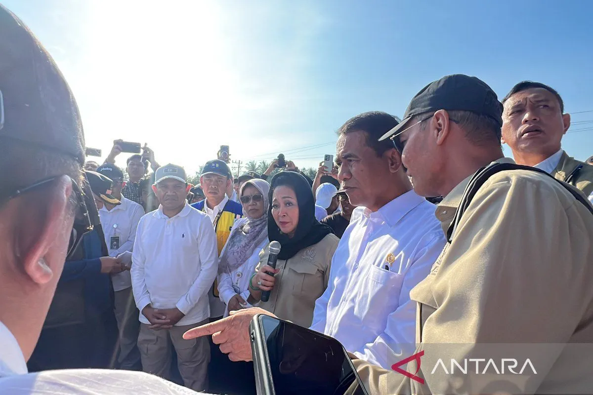 Mentan Rehabilitasi 98 Ribu Hektare Sawah Terdampak Bencana di Sumatera