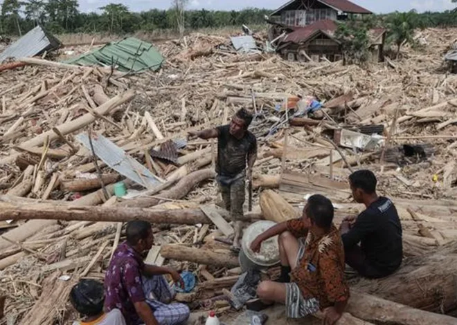 Mendagri: Warga Sumatra Boleh Manfaatkan Kayu Sisa Banjir, Perusahaan Dilarang Ambil