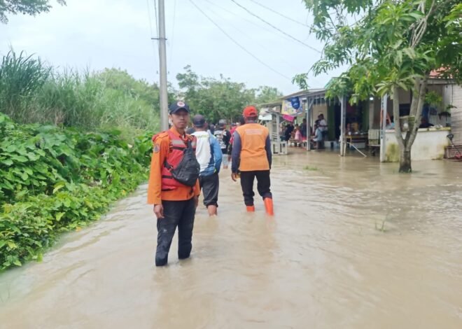 Muara Gembong Terendam Banjir Akibat Tanggul Jebol, Ratusan KK Terdampak