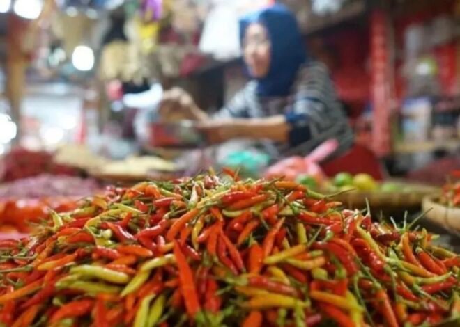 Data PIHPS: Harga Daging Ayam Naik Rp41.750/kg, Cabai Rawit Merah Tembus Rp85.500/kg
