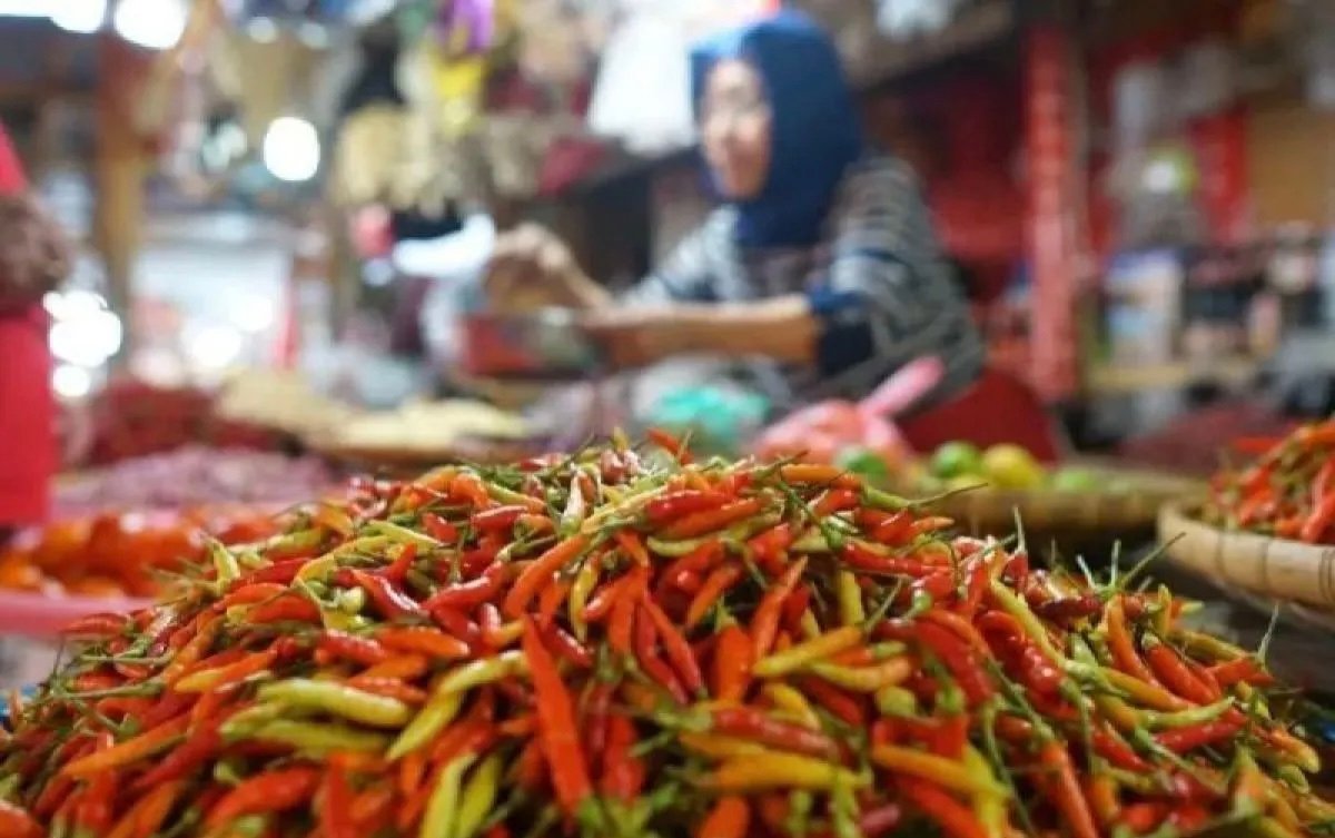 Data PIHPS: Harga Daging Ayam Naik Rp41.750/kg, Cabai Rawit Merah Tembus Rp85.500/kg