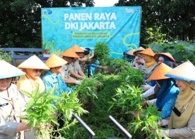 Jaga Ketahanan Pangan, Jakarta Selatan Panen Serentak di 177 Lokasi