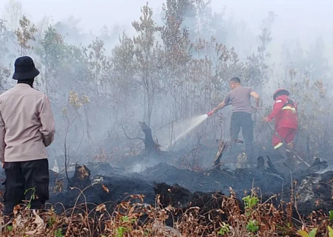 Manggala Agni Berhasil Padamkan Karhutla 4 Hektare di Singkawang Selatan