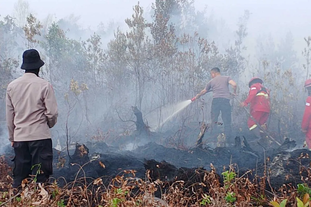 Manggala Agni Berhasil Padamkan Karhutla 4 Hektare di Singkawang Selatan