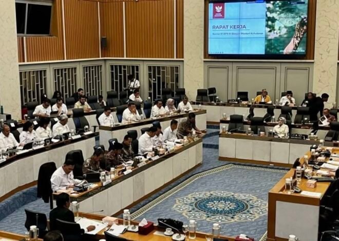 Menhut: Pasar Karbon Jadi Kunci RI Capai Target Iklim dan Ekonomi Hijau