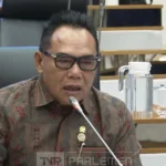 DPR Desak Pemerintah Beri Subsidi Pakan Gajah Wisata demi Cegah Kepunahan