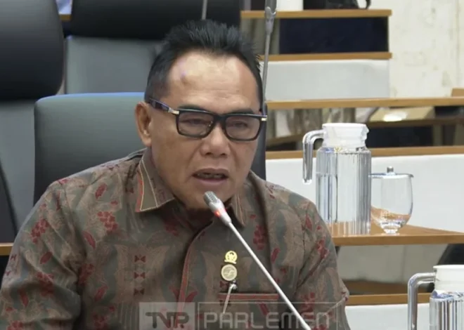 DPR Desak Pemerintah Beri Subsidi Pakan Gajah Wisata demi Cegah Kepunahan