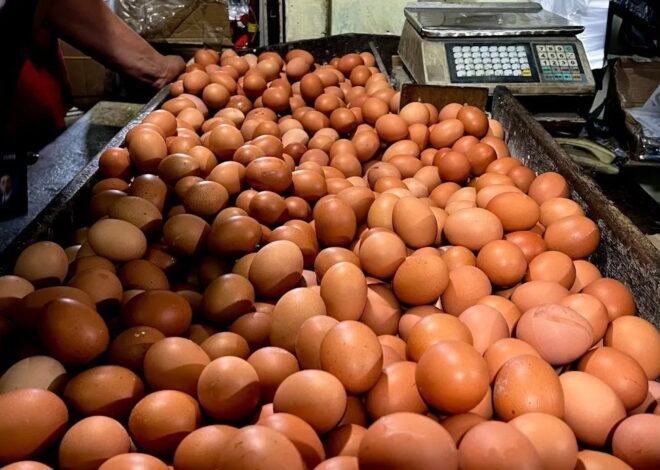 Harga Cabai Rawit Hari Ini Rp71.550 per Kilogram, Telur Ayam Ras Ikut Stabil di Rp32.300