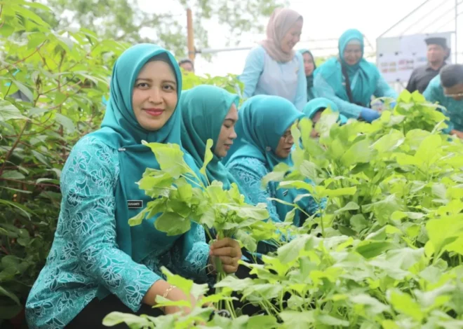 Kepulauan Seribu Dorong Hidroponik Demi Ketahanan Pangan Lokal