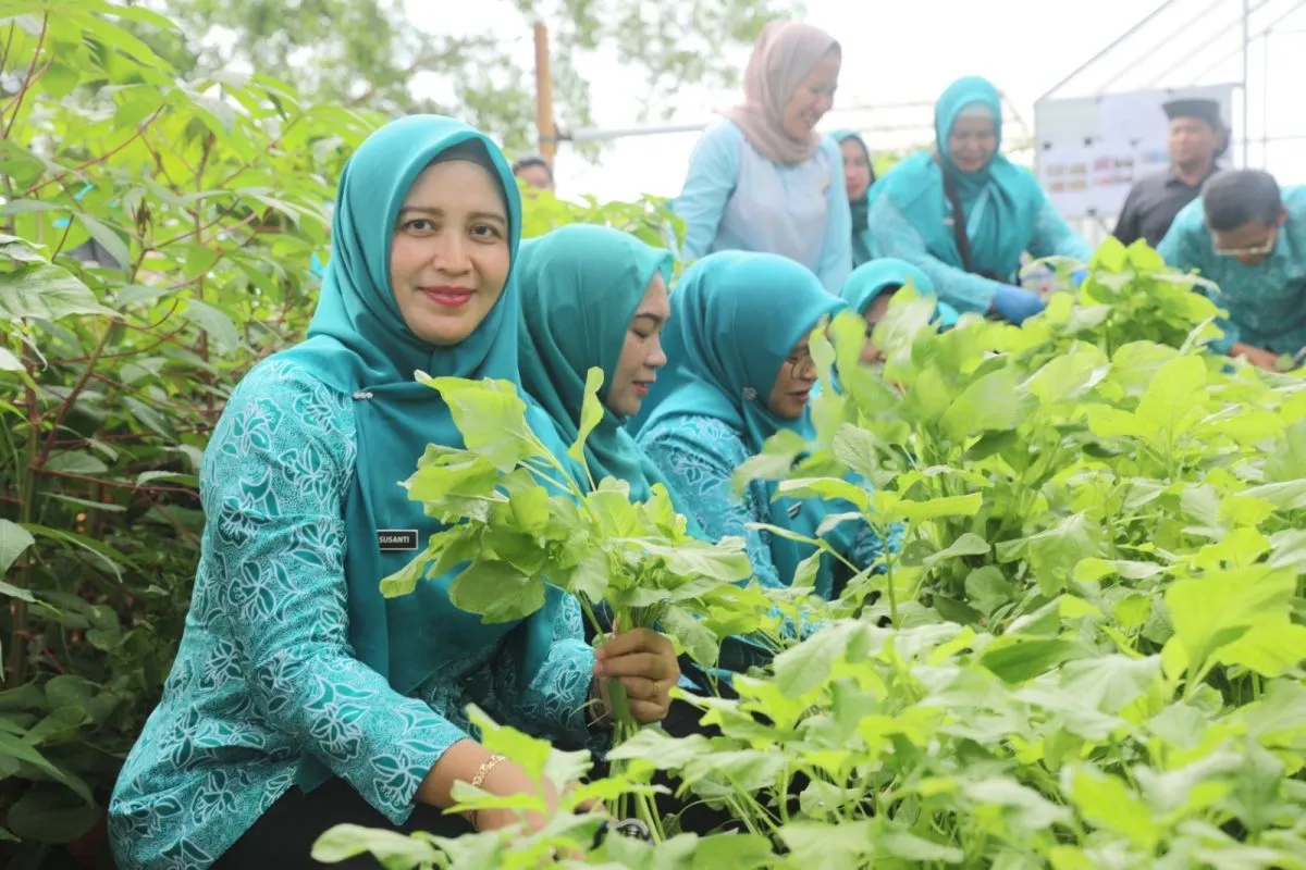 Kepulauan Seribu Dorong Hidroponik Demi Ketahanan Pangan Lokal