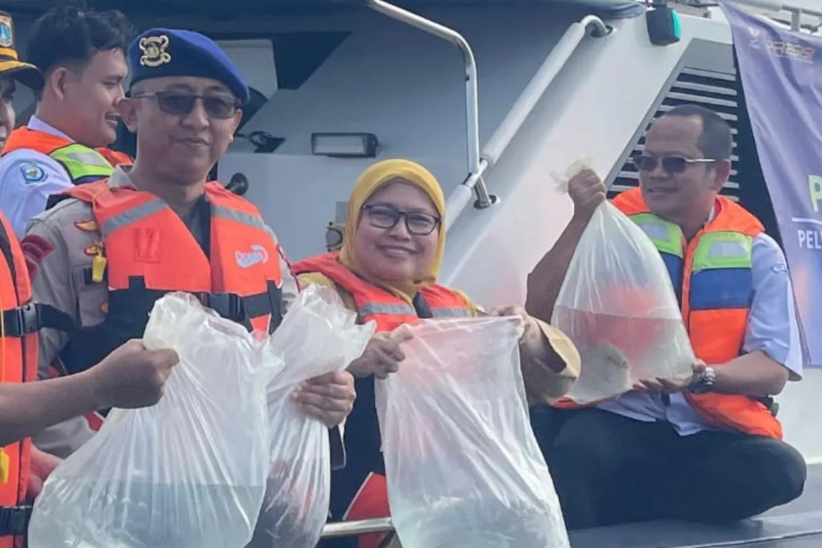 Perkuat Ketahanan Laut, Sebanyak 183 Ekor Ikan Napoleon Dilepas ke Alam Liar