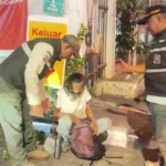 Tertibkan Trotoar Mampang, Delapan PPKS Dievakuasi ke Panti Sosial Jakarta Selatan