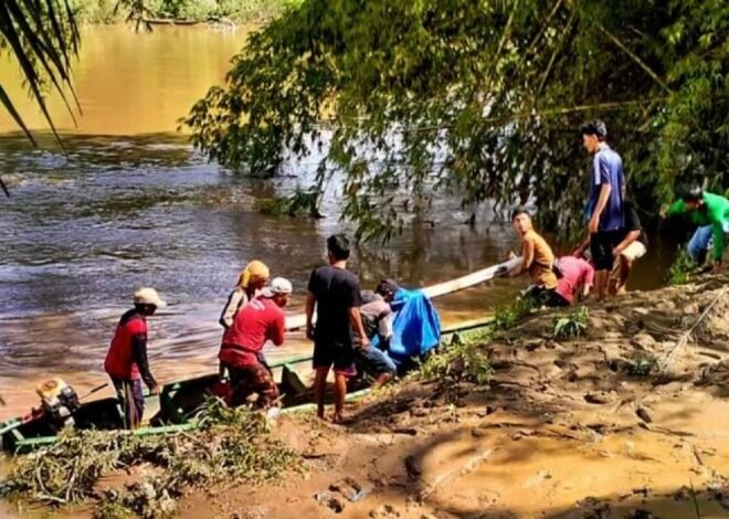 Sembilan Penambang Emas Ilegal di Sumbar Tewas Akibat Longsor