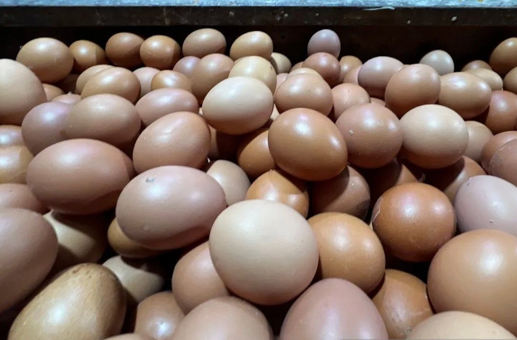 Harga Telur Ayam Capai Rp29.750 per Kg, Bawang Merah Rp50.950 per Kg pada Sabtu Pagi