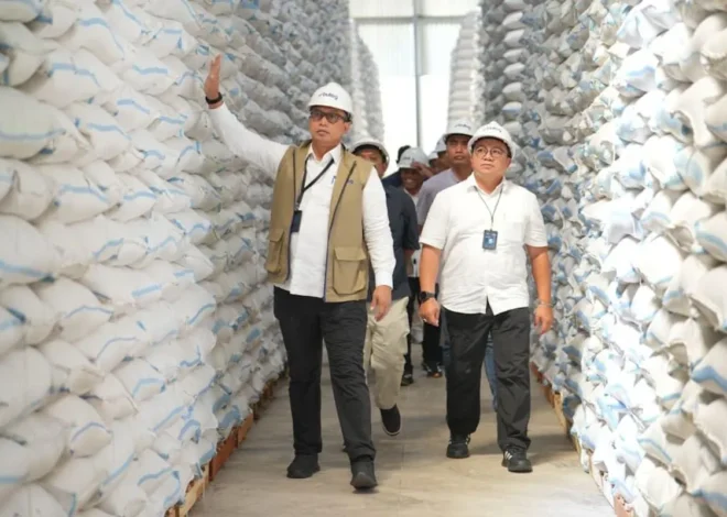 Demi Perkuat Pangan RI, Bulog Sukses Serap 3,5 Juta Ton Setara Beras Petani
