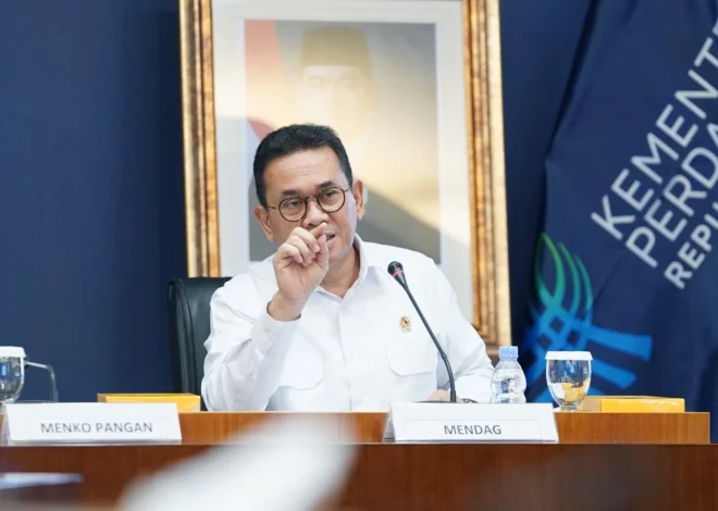 Mendag Dorong Perdagangan RI-India Lewat Penguatan Pasar dan Investasi