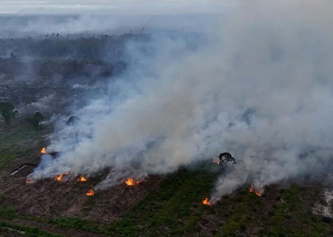 Tanggulangi Karhutla, Pemerintah Operasikan 40 Armada Udara Sekaligus