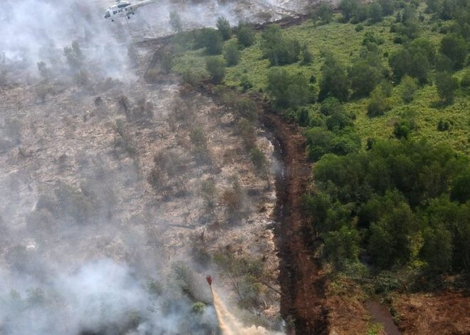 12.880 Personel Gabungan Turun Tangan Padamkan Karhutla di Kalimantan