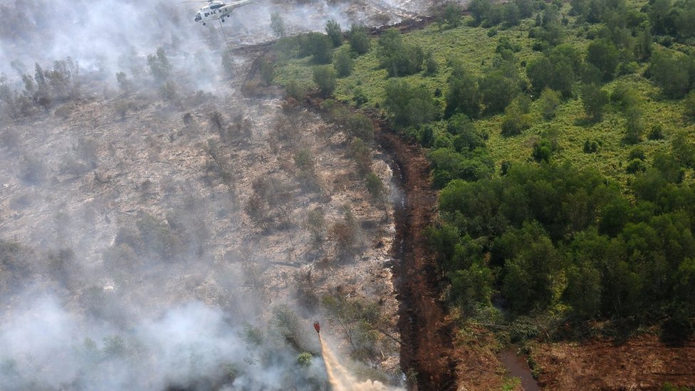 12.880 Personel Gabungan Turun Tangan Padamkan Karhutla di Kalimantan