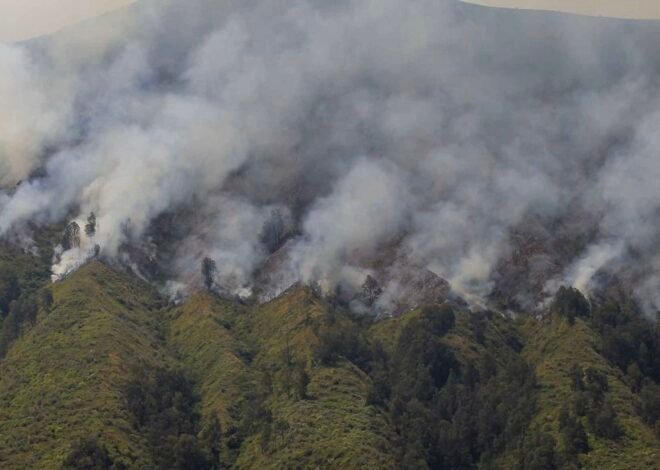 Karhutla di Gunung Semeru, Petugas Berjibaku Padamkan Api di Tujuh Titik