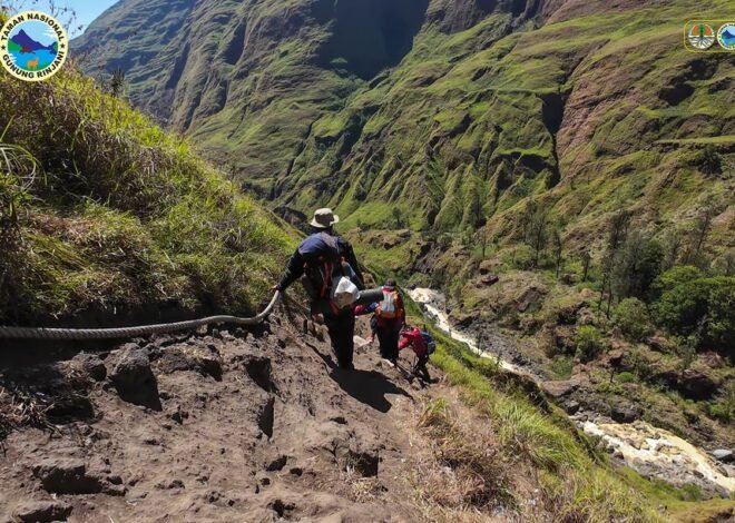 Dampak Karhutla, Pendakian Gunung Rinjani via Torean Resmi Ditutup