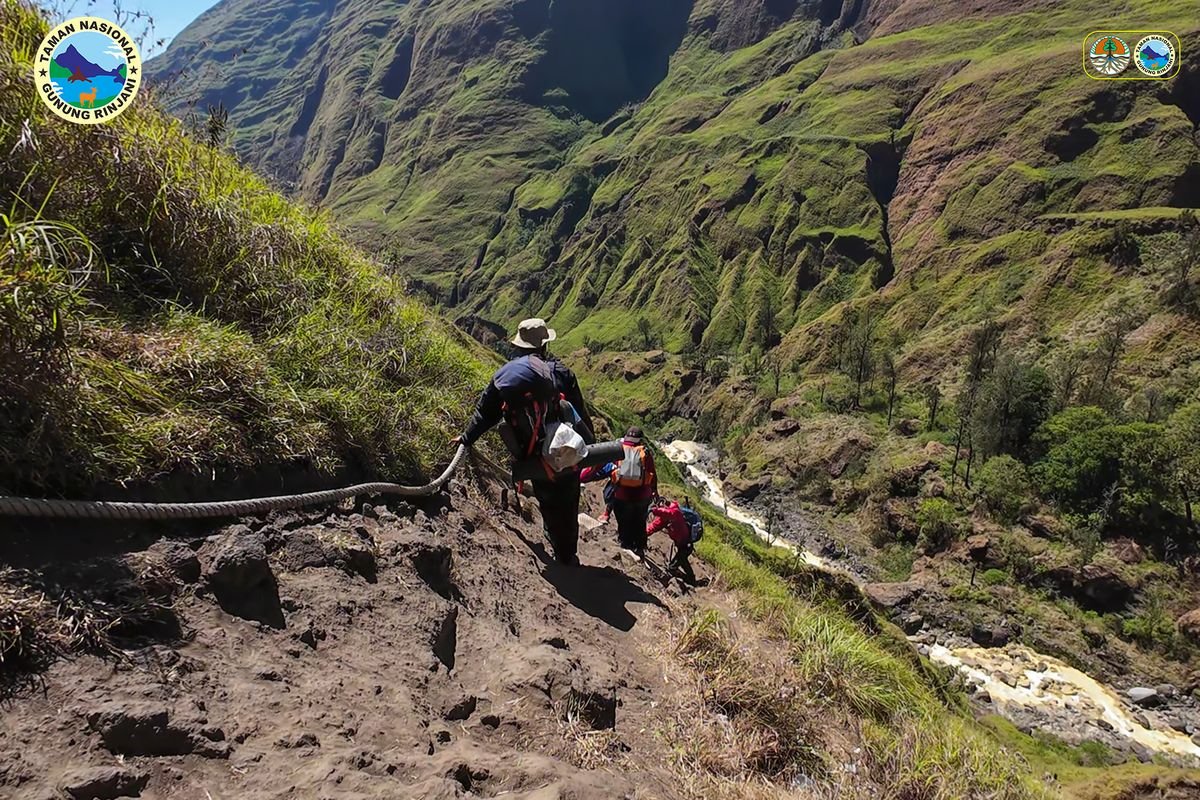 Dampak Karhutla, Pendakian Gunung Rinjani via Torean Resmi Ditutup