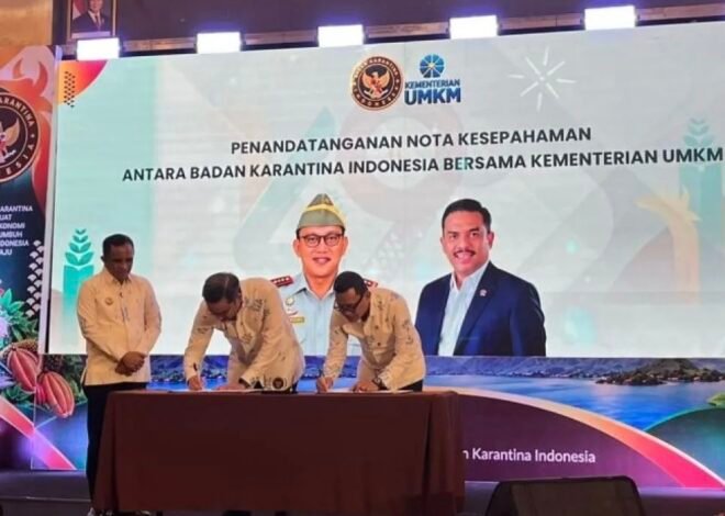 Produk UMKM Sulteng Siap Tembus Pasar Global Lewat Sinergi KemenUMKM-Barantin