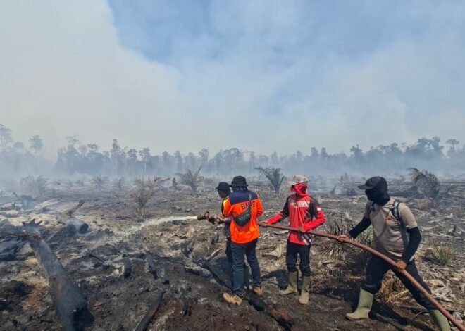 Karhutla Belum Padam di Enam Provinsi, BNPB: Tinggal 96,07 Hektare