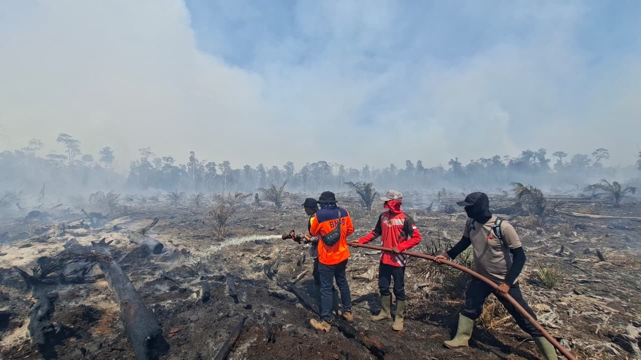 Karhutla Belum Padam di Enam Provinsi, BNPB: Tinggal 96,07 Hektare