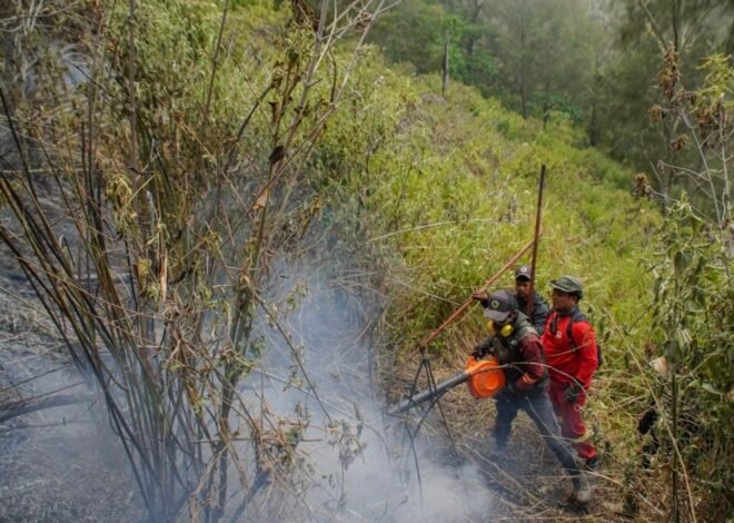 Penanganan Karhutla TNBS, Satgas Gabungan Buka Akses Menuju Titik Api