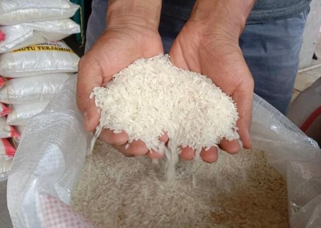 Update Harga Pangan: BPS Ungkap Beras Masih Naik di 116 Wilayah Ini
