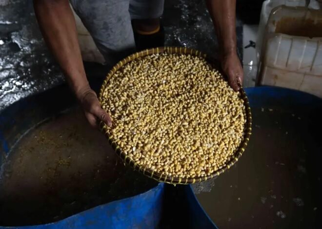 Harga Kedelai Naik Terus, Mendag Buka Peluang Subsidi untuk Perajin Tempe