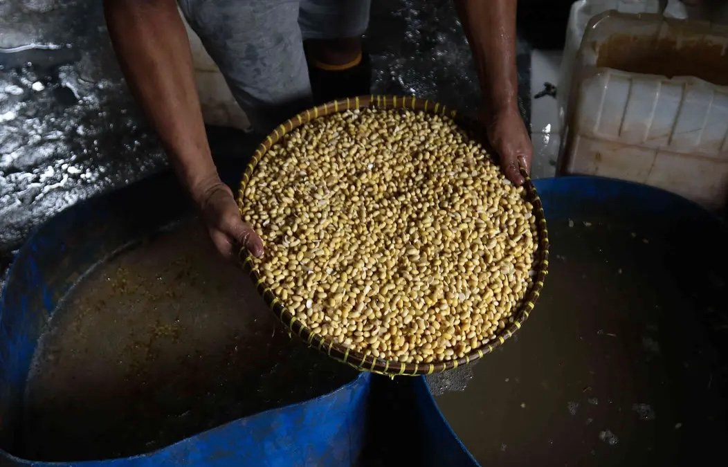 Harga Kedelai Naik Terus, Mendag Buka Peluang Subsidi untuk Perajin Tempe