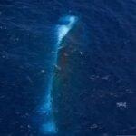 Siap Diangkat dari Laut Jawa, Begini Tahapan Operasi Salvage Bangkai KM Virgo