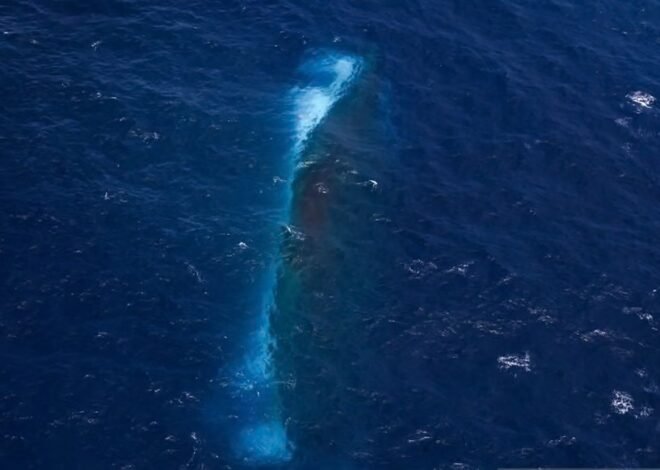 Siap Diangkat dari Laut Jawa, Begini Tahapan Operasi Salvage Bangkai KM Virgo