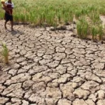 Ancaman Kekeringan Oktober 2026, Empat Wilayah Masuk Status Awas