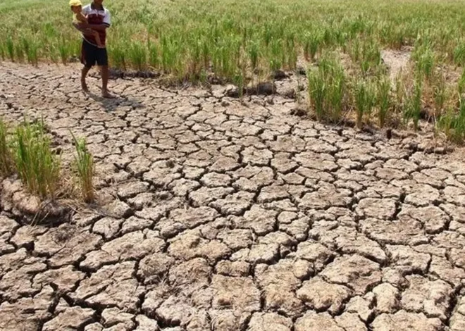 Ancaman Kekeringan Oktober 2026, Empat Wilayah Masuk Status Awas
