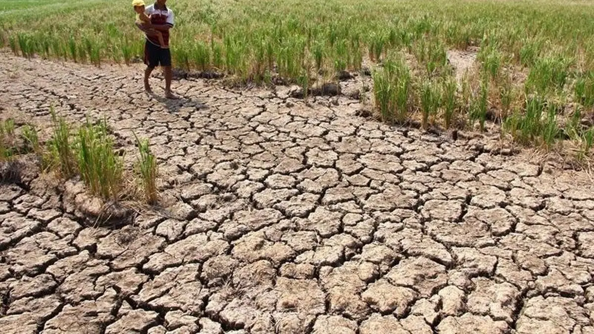Ancaman Kekeringan Oktober 2026, Empat Wilayah Masuk Status Awas