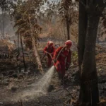 Atasi Karhutla 502 Hektare, Tim Gabungan Fokus Pemadaman di 6 Provinsi