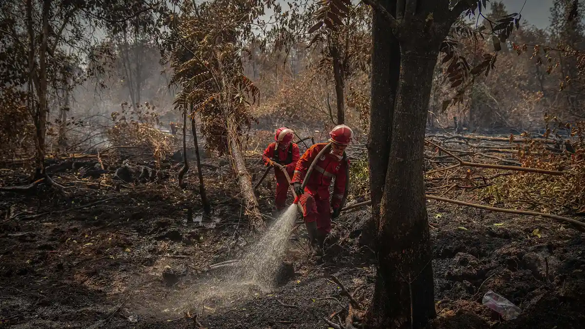 Atasi Karhutla 502 Hektare, Tim Gabungan Fokus Pemadaman di 6 Provinsi